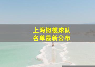 上海橄榄球队名单最新公布