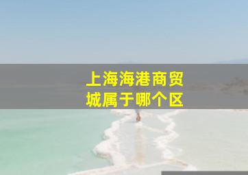 上海海港商贸城属于哪个区