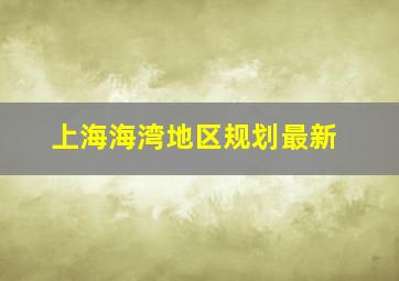 上海海湾地区规划最新