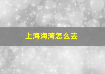 上海海湾怎么去