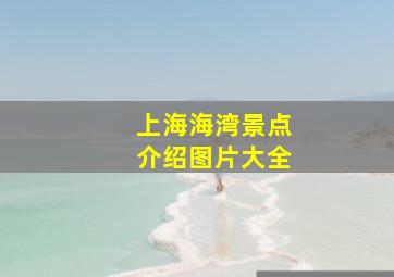 上海海湾景点介绍图片大全