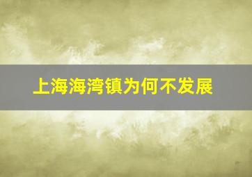 上海海湾镇为何不发展