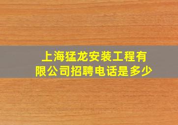 上海猛龙安装工程有限公司招聘电话是多少