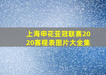 上海申花亚冠联赛2020赛程表图片大全集