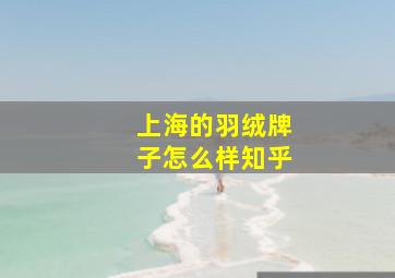 上海的羽绒牌子怎么样知乎