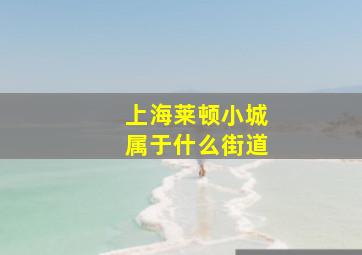 上海莱顿小城属于什么街道