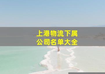 上港物流下属公司名单大全