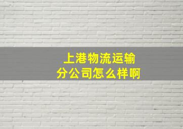 上港物流运输分公司怎么样啊