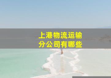 上港物流运输分公司有哪些