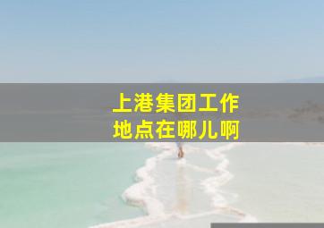 上港集团工作地点在哪儿啊