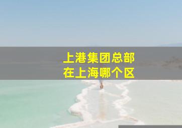 上港集团总部在上海哪个区