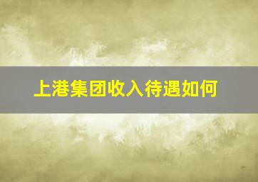 上港集团收入待遇如何