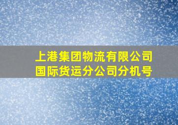 上港集团物流有限公司国际货运分公司分机号