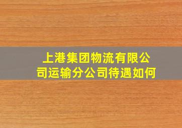 上港集团物流有限公司运输分公司待遇如何