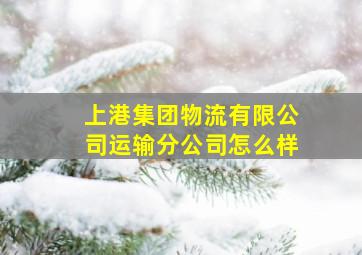 上港集团物流有限公司运输分公司怎么样