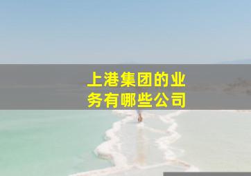 上港集团的业务有哪些公司