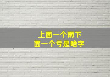 上面一个雨下面一个亏是啥字