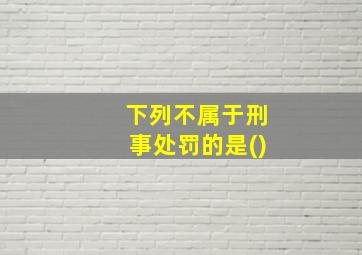 下列不属于刑事处罚的是()