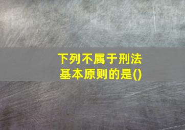 下列不属于刑法基本原则的是()