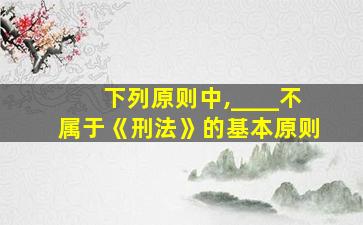 下列原则中,____不属于《刑法》的基本原则