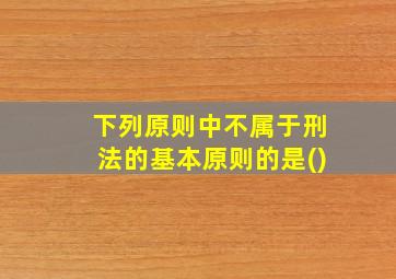 下列原则中不属于刑法的基本原则的是()