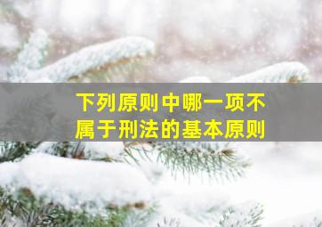 下列原则中哪一项不属于刑法的基本原则