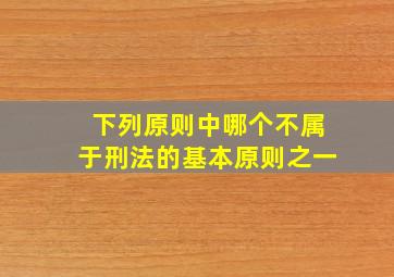 下列原则中哪个不属于刑法的基本原则之一