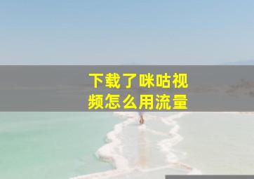 下载了咪咕视频怎么用流量