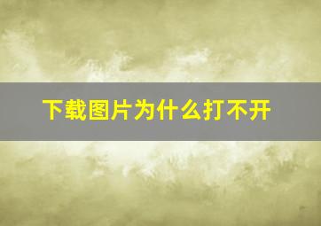 下载图片为什么打不开