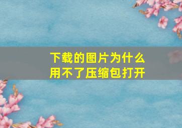 下载的图片为什么用不了压缩包打开