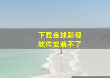 下载金球影视软件安装不了