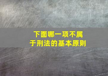 下面哪一项不属于刑法的基本原则