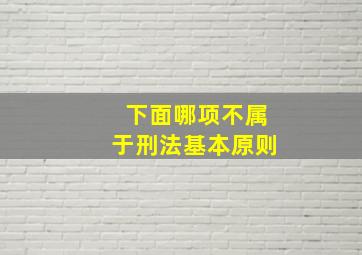 下面哪项不属于刑法基本原则