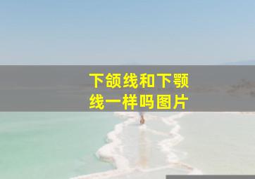 下颌线和下颚线一样吗图片