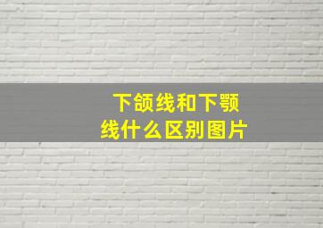 下颌线和下颚线什么区别图片