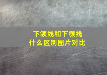 下颌线和下颚线什么区别图片对比