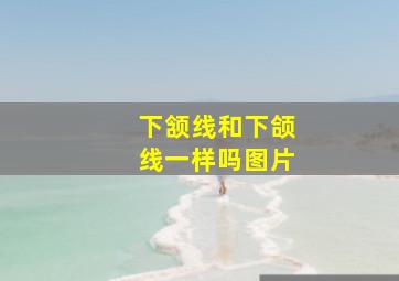 下颔线和下颌线一样吗图片