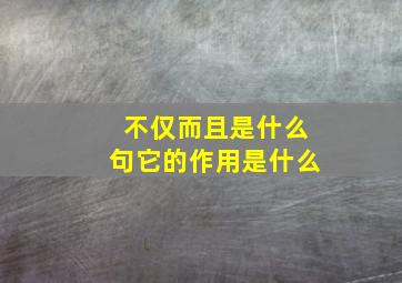 不仅而且是什么句它的作用是什么