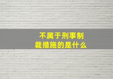 不属于刑事制裁措施的是什么