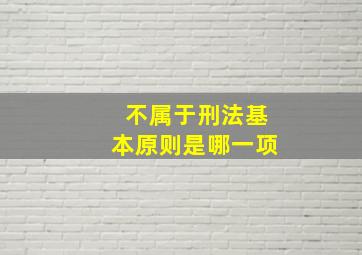 不属于刑法基本原则是哪一项