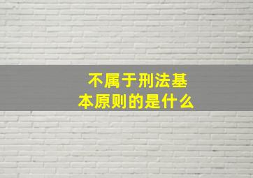 不属于刑法基本原则的是什么