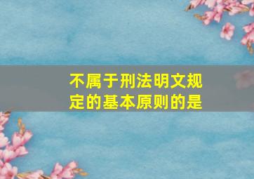 不属于刑法明文规定的基本原则的是