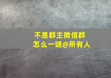 不是群主微信群怎么一键@所有人