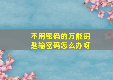 不用密码的万能钥匙输密码怎么办呀