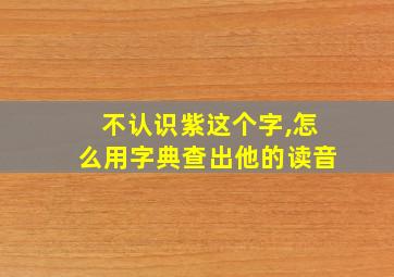 不认识紫这个字,怎么用字典查出他的读音