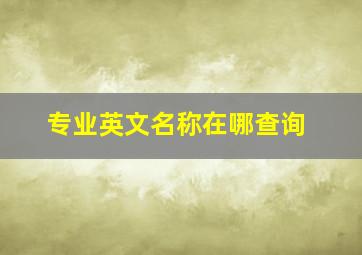 专业英文名称在哪查询