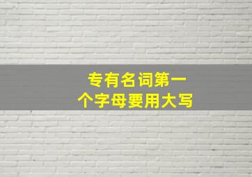 专有名词第一个字母要用大写