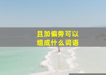 且加偏旁可以组成什么词语