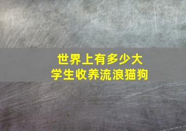 世界上有多少大学生收养流浪猫狗