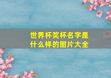 世界杯奖杯名字是什么样的图片大全